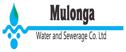 Mulonga